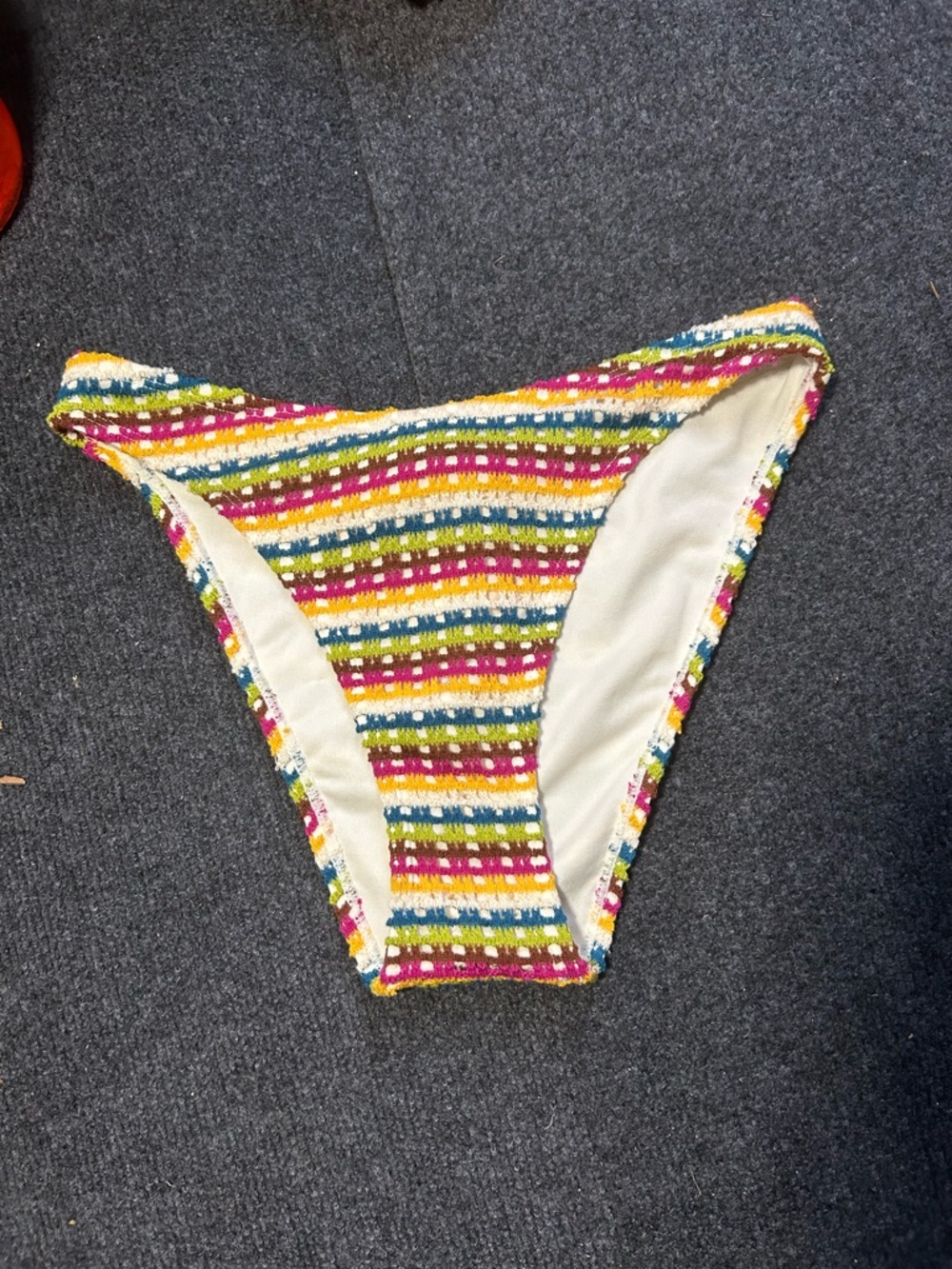 Multicolor Striped Bikini Bottom